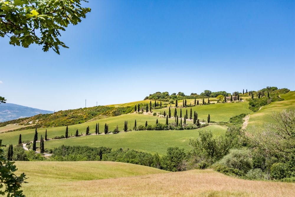 Tuscan Landscape-2771